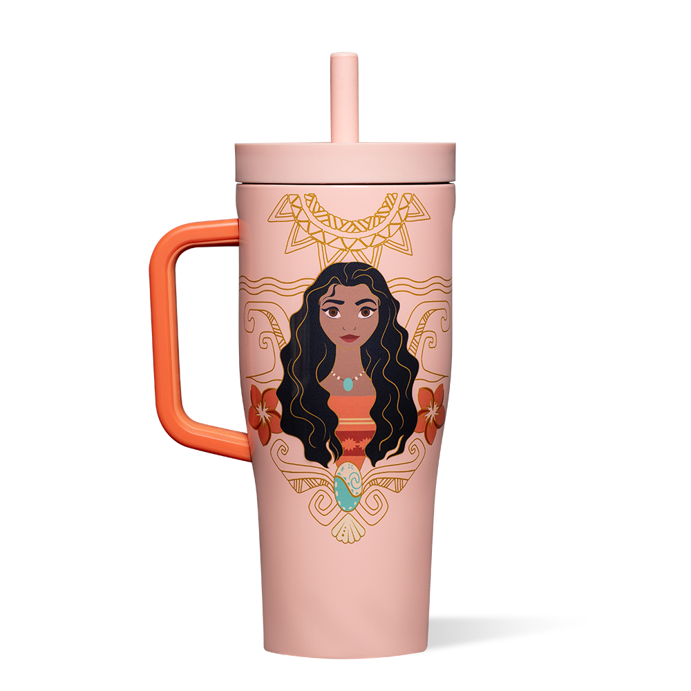 disney-princess-leakproof-cruiser-a7 DIS2222DP-M-01.png