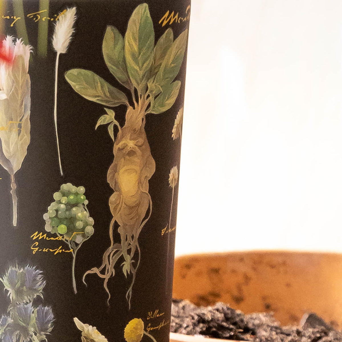 harry-potter-cold-cup-l1 Herbology-3.jpg