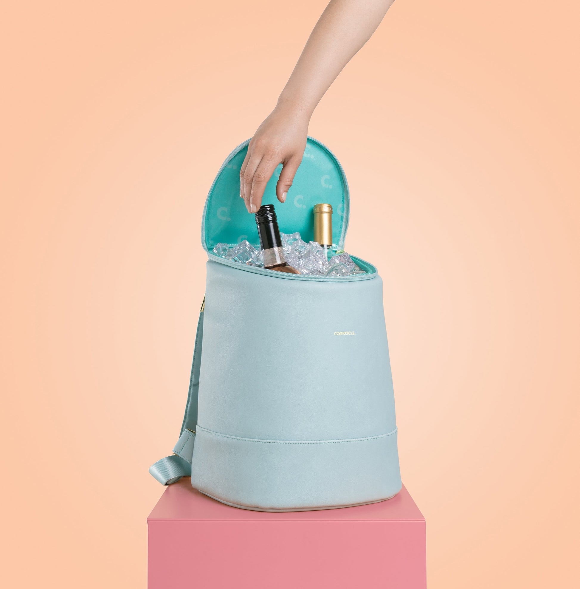 eola-bucket-cooler-bag-f1 a405954e83cf--EOLA-Bucket-copy.jpg