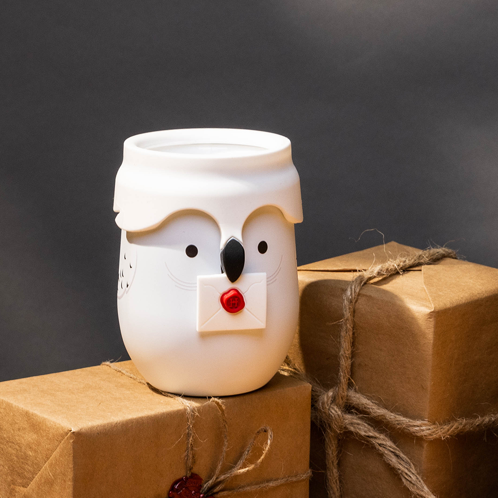 harry-potter-stemless-h0 da329e4f7c5d--Hedwig-Lifestyle-3.png