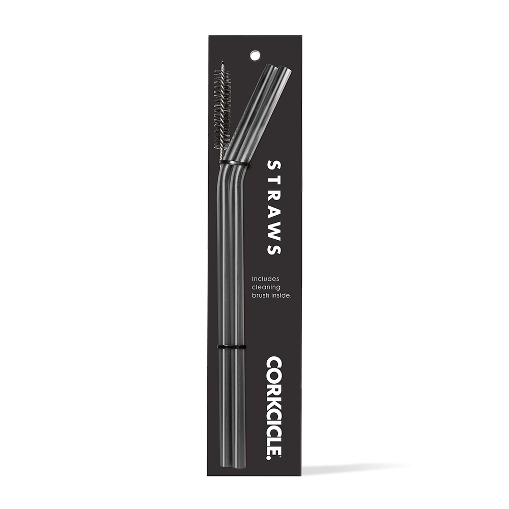 tumbler-straw-2-pack-d2 gunmetal.png